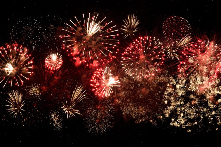 Fireworks exploding on a black background.